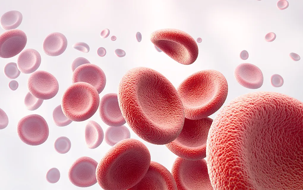 CGF・AFGを用いた再生療法